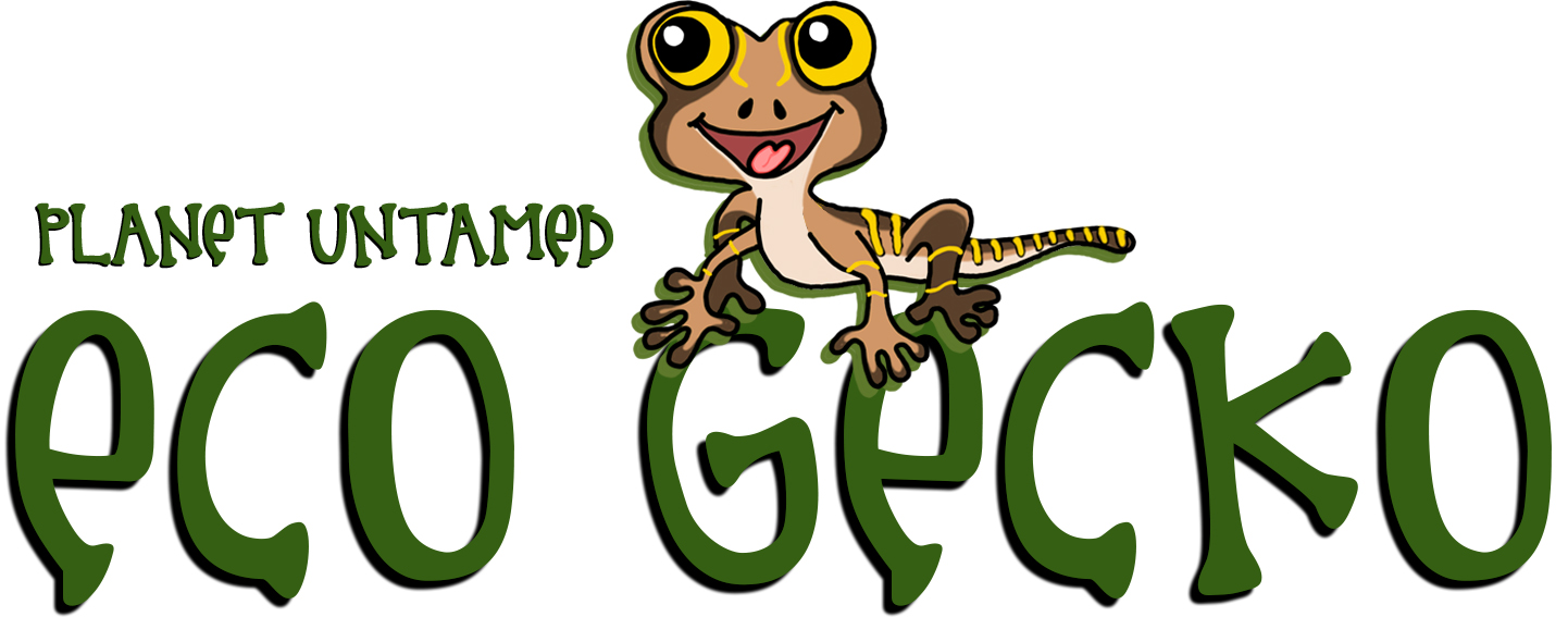 EcoGecko